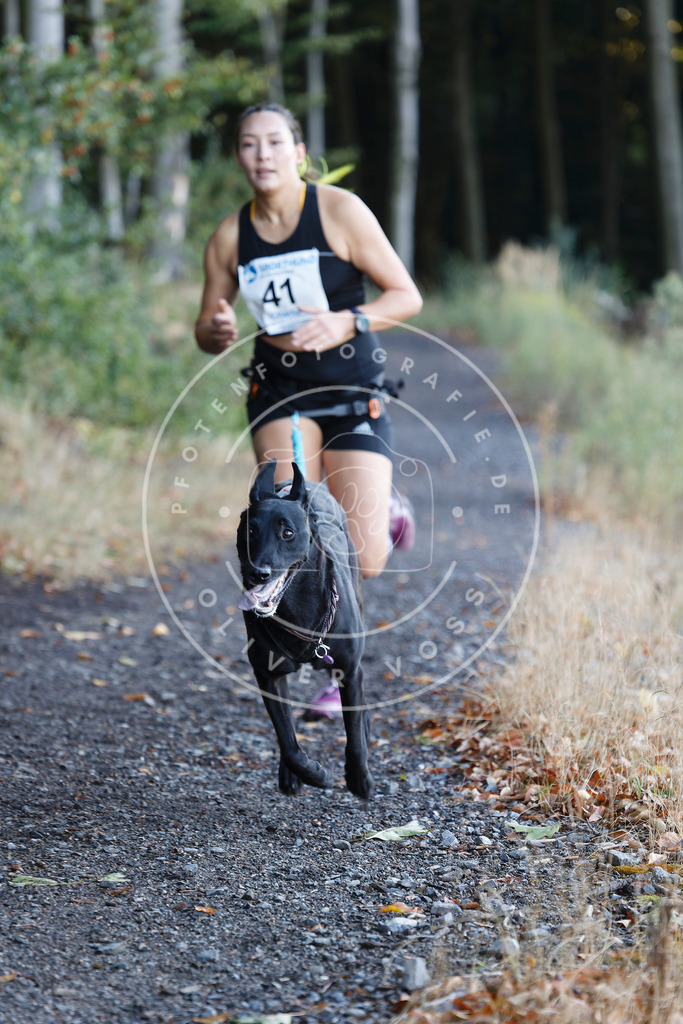0L8A1662 | Hundefotografie, Tierfotograf, Pfotenfotografie, Fotoshooting Hund, Hunde Portrait, Hundesport, Hundeportraits, Heideshooting, Hunde, Sportfotograf, Hundefotograf, Turnierhundsport, THS,  - Realisiert mit Pictrs.com