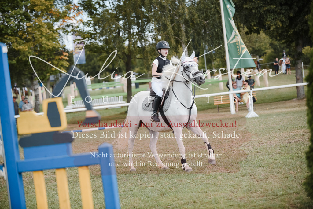 DSC_5537 | Pferde- und Turnierfotografie in Westsachsen. Pferdeportraits, Auftragszeichnungen und intuitive Kunst.