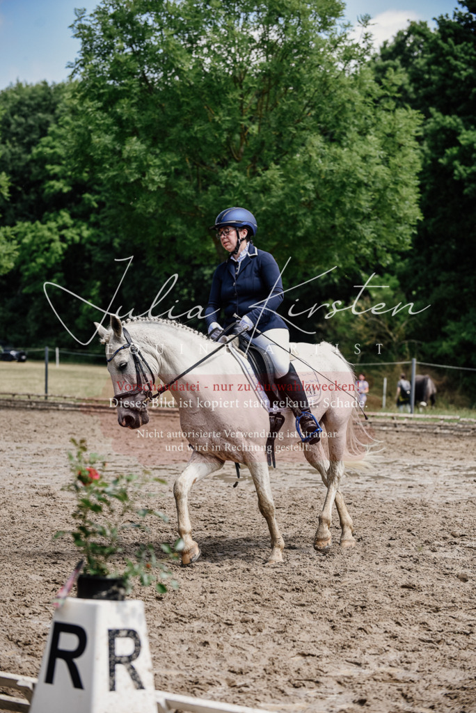 DSC_1805 | Pferde- und Turnierfotografie in Westsachsen. Pferdeportraits, Auftragszeichnungen und intuitive Kunst.