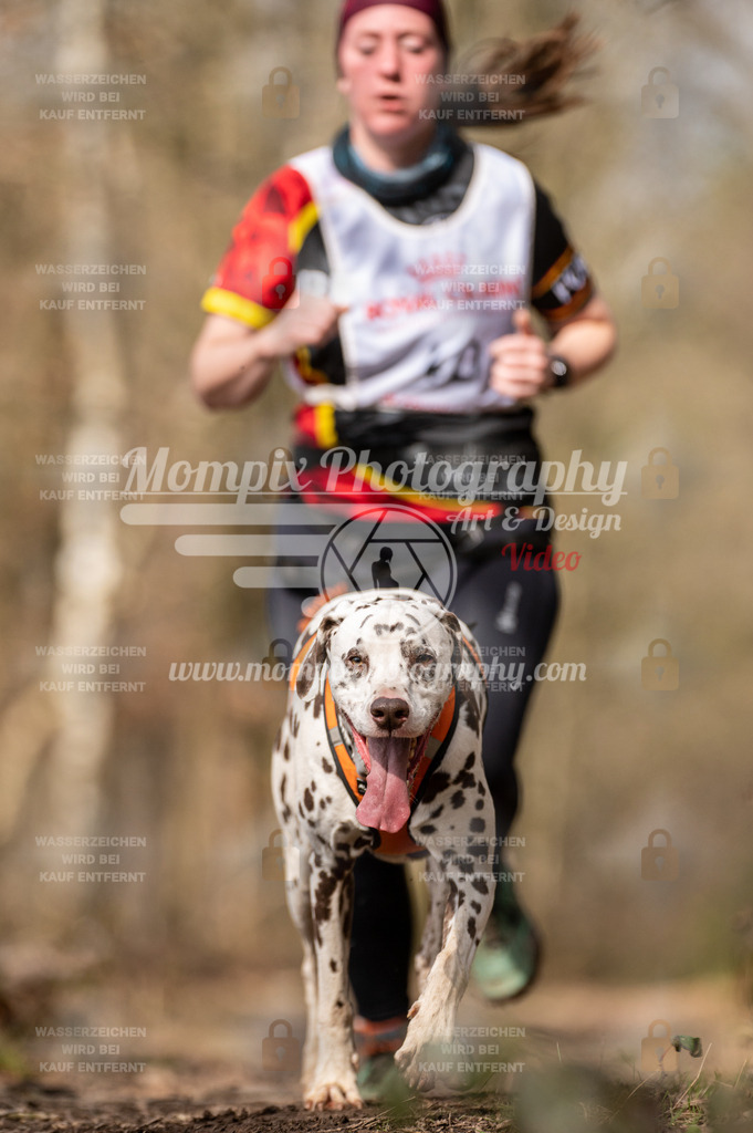 SPA_2023_SAM_CCL-166 | PayLife
