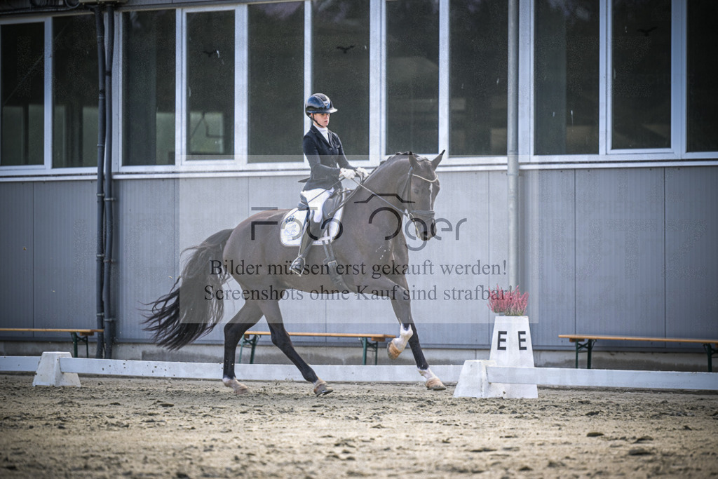 DOS_0192 | Entdecke hochwertige Reitturnierfotos von Foto Oger. Professionell, emotional und authentisch – jetzt Lieblingsmomente im Shop bestellen.Deutschlandweite Turnierfotografie. - Realisiert mit Pictrs.com
