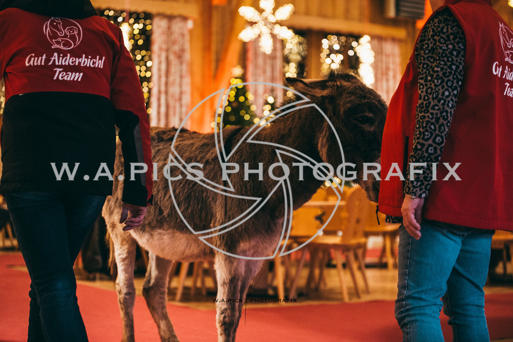 A-Willdoner_20251223_333 | Sport-,  Presse- und Eventbegleitung!
Contact me !
