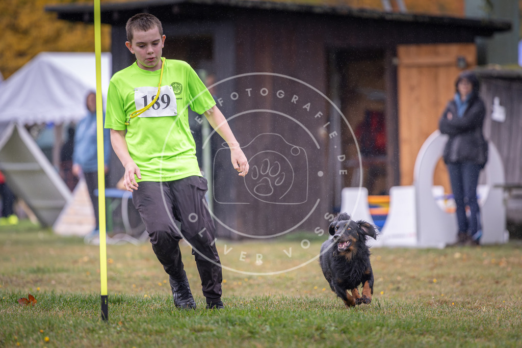 Pfotenfotografie_DV3A9866 | Hundefotografie, Tierfotograf, Pfotenfotografie, Fotoshooting Hund, Hunde Portrait, Hundesport, Hundeportraits, Heideshooting, Hunde, Sportfotograf, Hundefotograf, Turnierhundsport, THS,  - Realisiert mit Pictrs.com