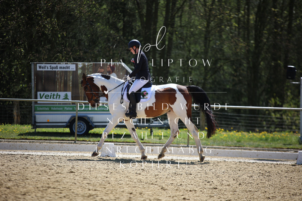 IMGT1135 | pl-fotografie