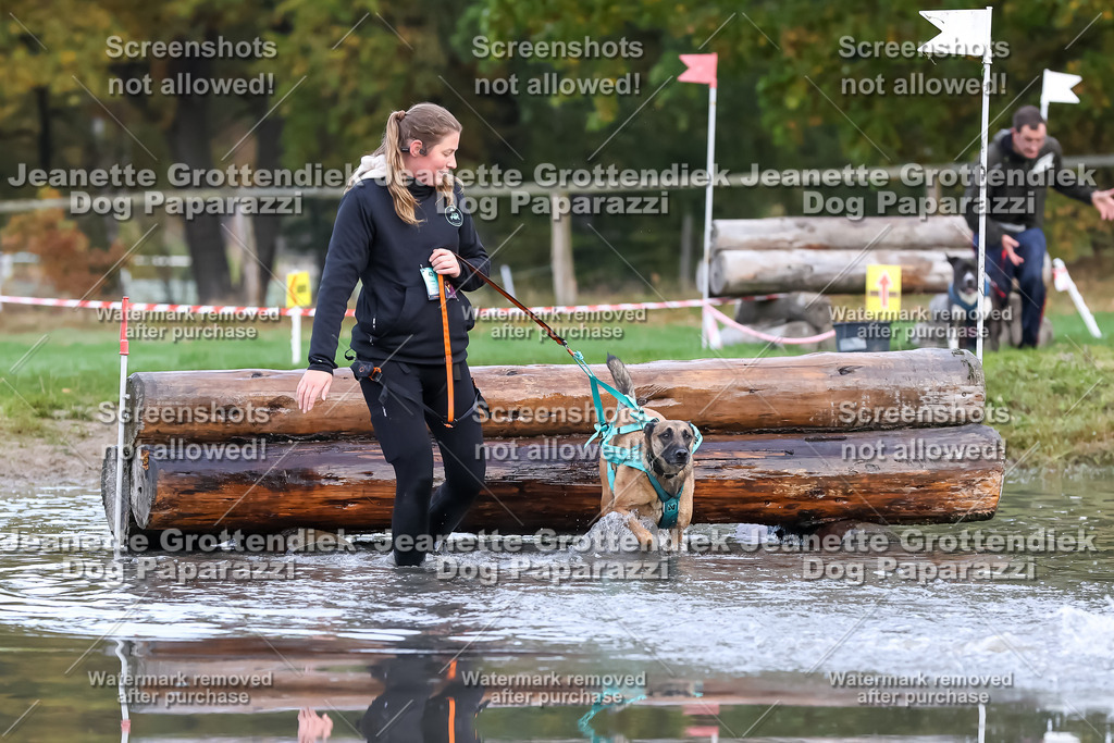 Dog Paparazzi - Strongdog 10-25-6574 | Dog Paparazzi Jeanette Grottendiek Fotografie & Videografie - Realisiert mit Pictrs.com