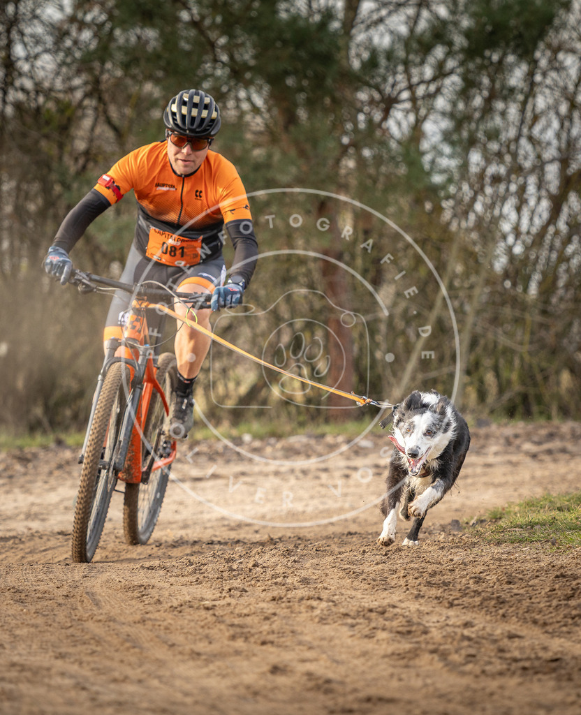 Pfotenfotografie_DV3A8283 | Hundefotografie, Tierfotograf, Pfotenfotografie, Fotoshooting Hund, Hunde Portrait, Hundesport, Hundeportraits, Heideshooting, Hunde, Sportfotograf, Hundefotograf, Turnierhundsport, THS,  - Realisiert mit Pictrs.com
