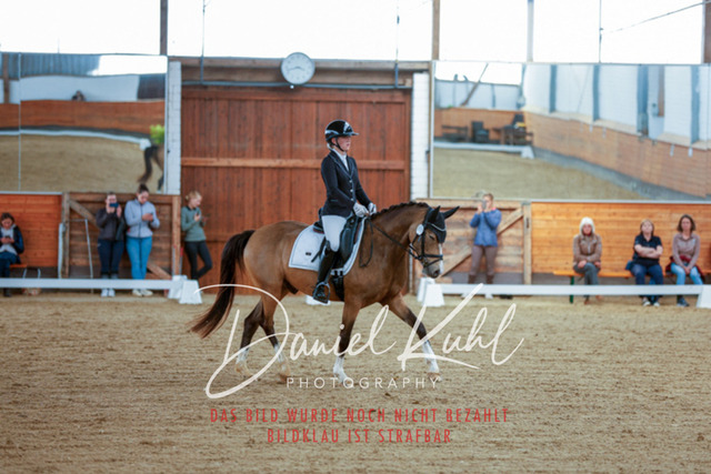 _62_5376 | Turniersportfotografie; Pferdefotografie; Dressurfotografie