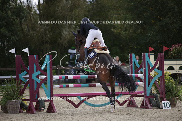 1J2A4769Hannes Ahlmann_ Colly 15_ Kn256_ Havekost | Foto- und Videografie für alles rund ums Pferd. Hochwertige Bilder und Videos vom Spring- und Dressurreiten, Voltigieren & mehr. Jetzt aktuelle Veranstaltungen und Preise im Shop ansehen. - Realisiert mit Pictrs.com