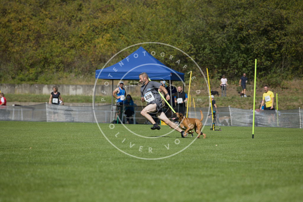 0L8A6118 | Hundefotografie, Tierfotograf, Pfotenfotografie, Fotoshooting Hund, Hunde Portrait, Hundesport, Hundeportraits, Heideshooting, Hunde, Sportfotograf, Hundefotograf, Turnierhundsport, THS,  - Realisiert mit Pictrs.com