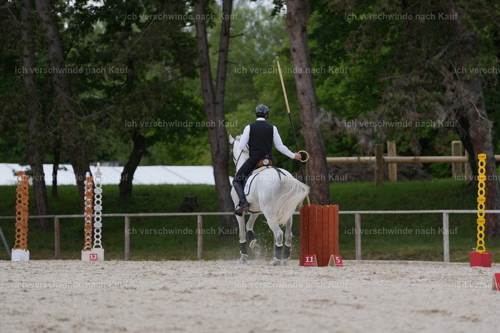 PI26_ST_Jan_Picutures7C_07658.JPG | working equitationturnier fotograf videograf stoibphotography marixx film working equitation deutschland reitsport turnierfotografie eventfotografie equestrian events