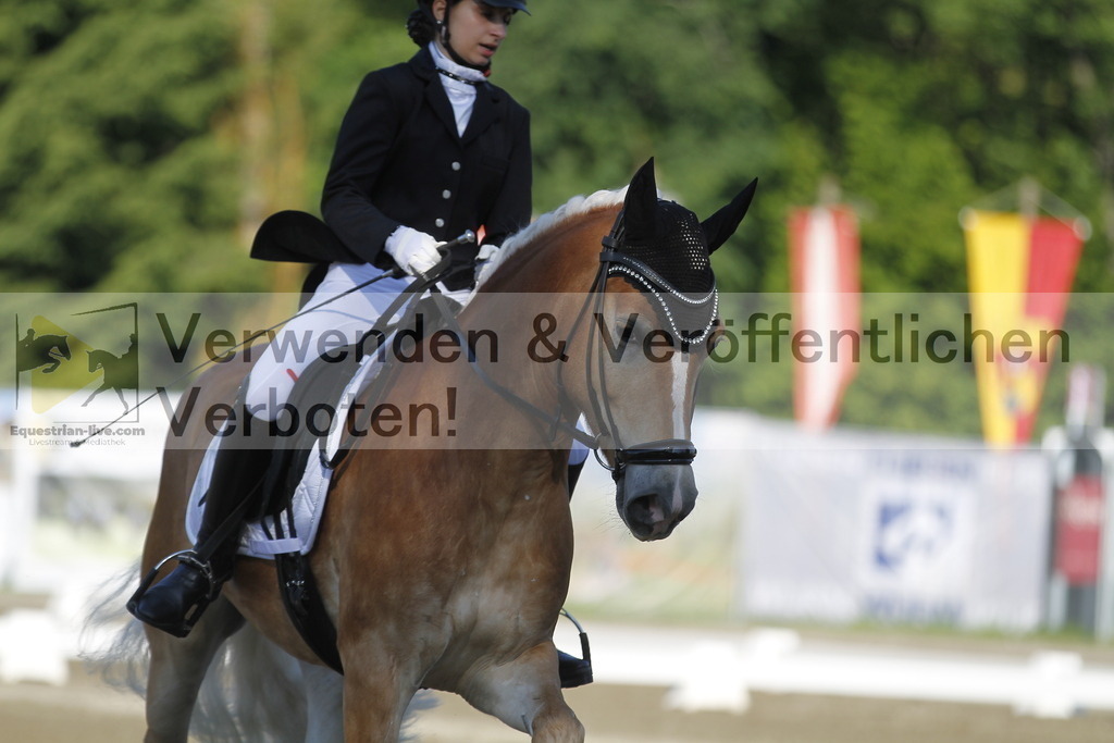 _MG_0467 | equestrian-live-com