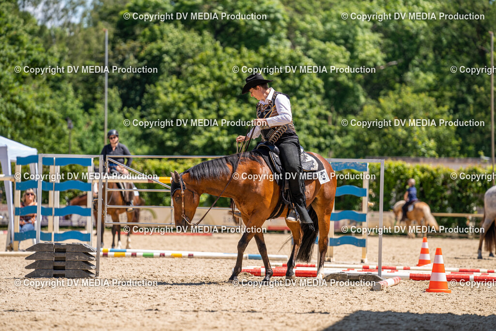 Zeiskam Tag 2-1150 | dv-media-shop - Realisiert mit Pictrs.com