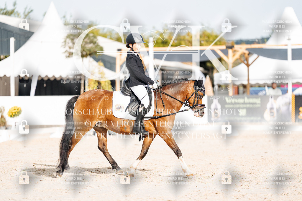 CK904206 | Turnierfotografie Pferdefotografie Trier Rheinland-Pfalz Pferdesport Reitsport Tierfotografie Sportfotografie Pferdevideo Pferdevideografie Equestrianvideography equestrianphotography  - Realisiert mit Pictrs.com