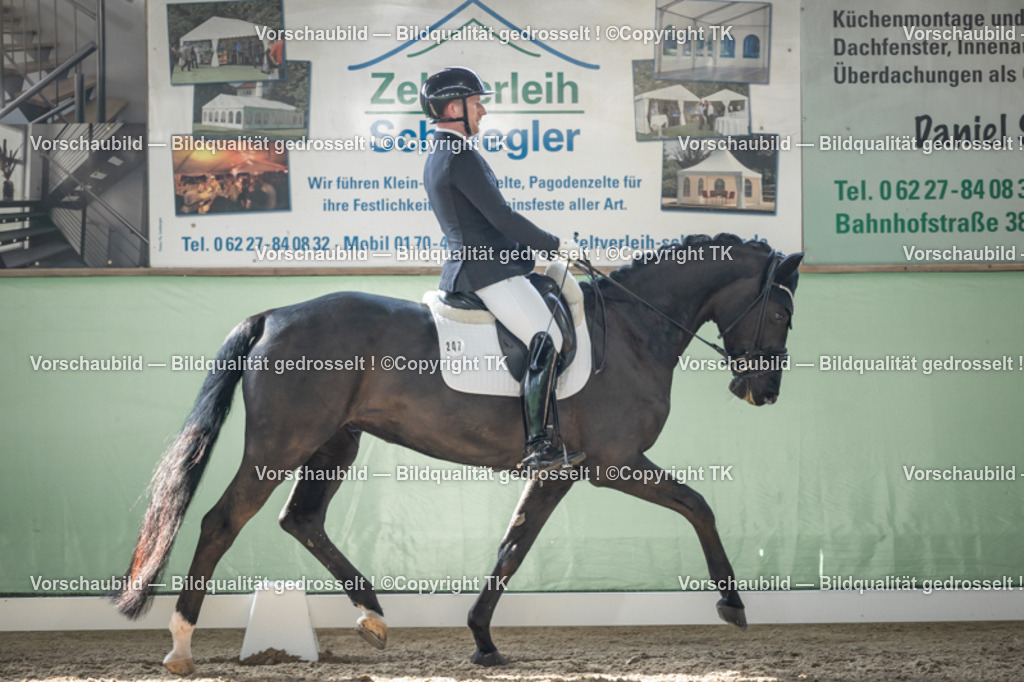 _D5A0816 | Emotionale Pferde- & People-Fotografie rund um Heidelberg, Leimen & Umgebung. Natürliche Fotos von Pferd, Mensch & Familie. Jetzt Termin sichern!