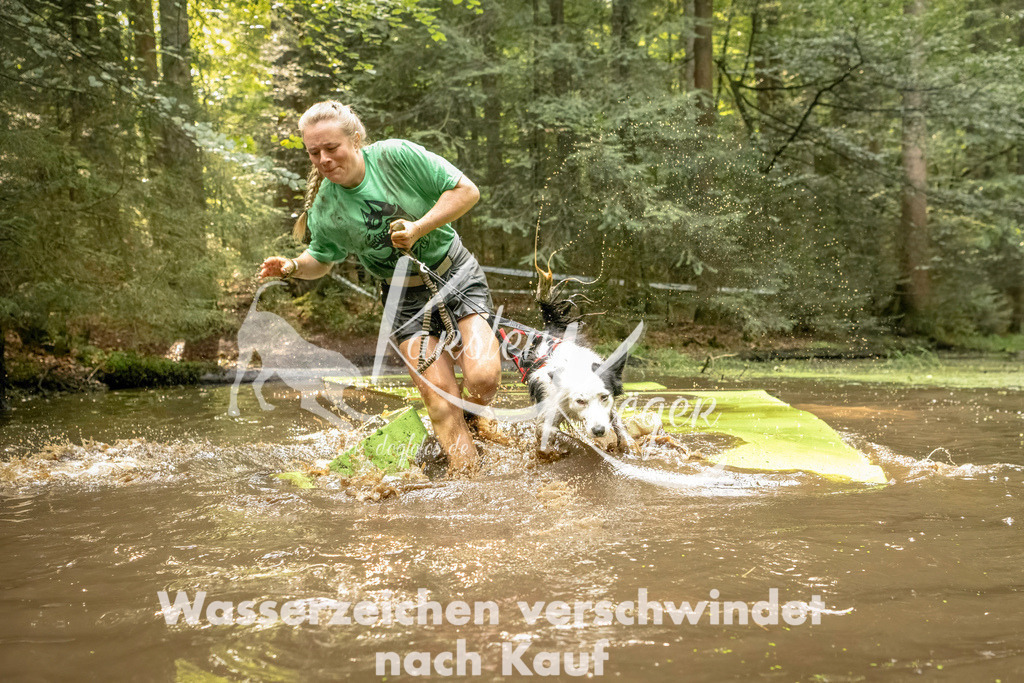 1412_ZZ91488-Bearbeitet | kk-dogfotos