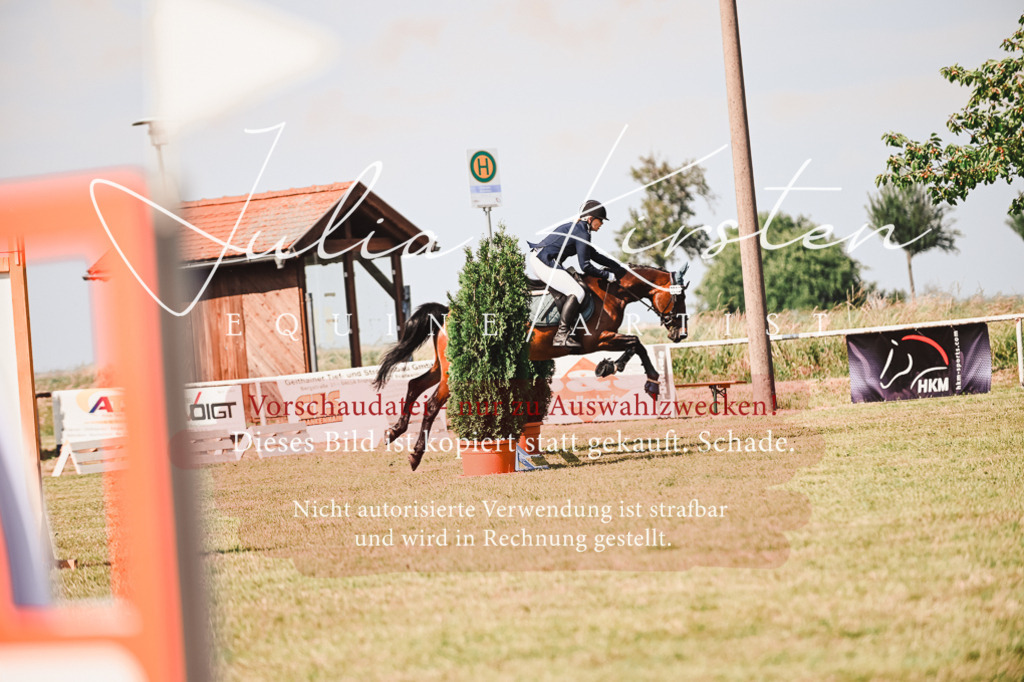DSC_7375 | Pferde- und Turnierfotografie in Westsachsen. Pferdeportraits, Auftragszeichnungen und intuitive Kunst.
