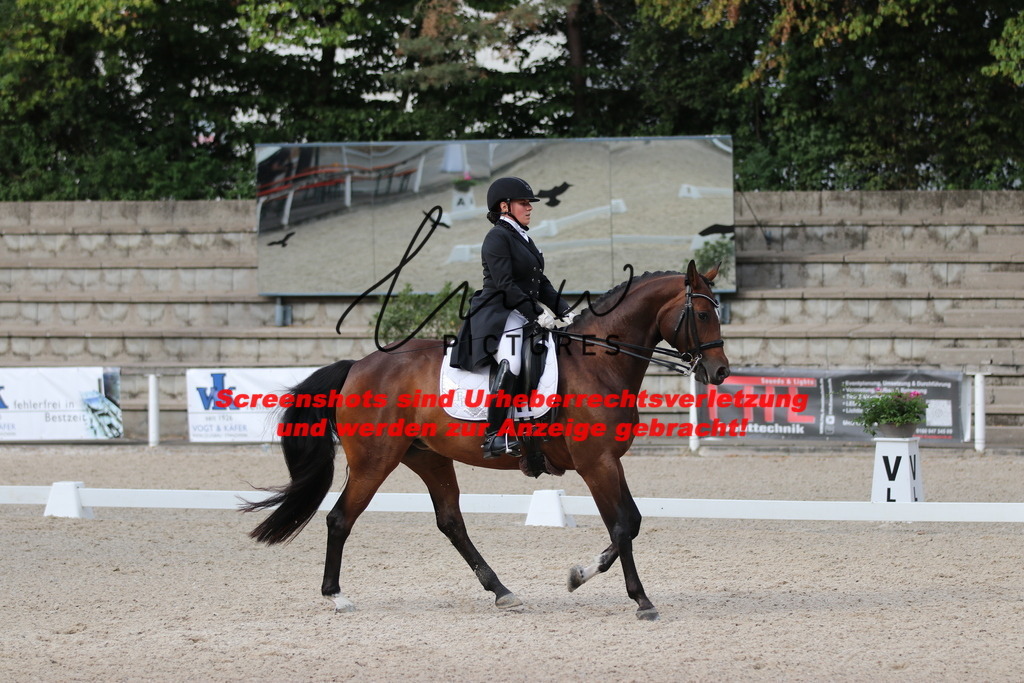 IMG_6175 | lmwpictures - Realisiert mit Pictrs.com