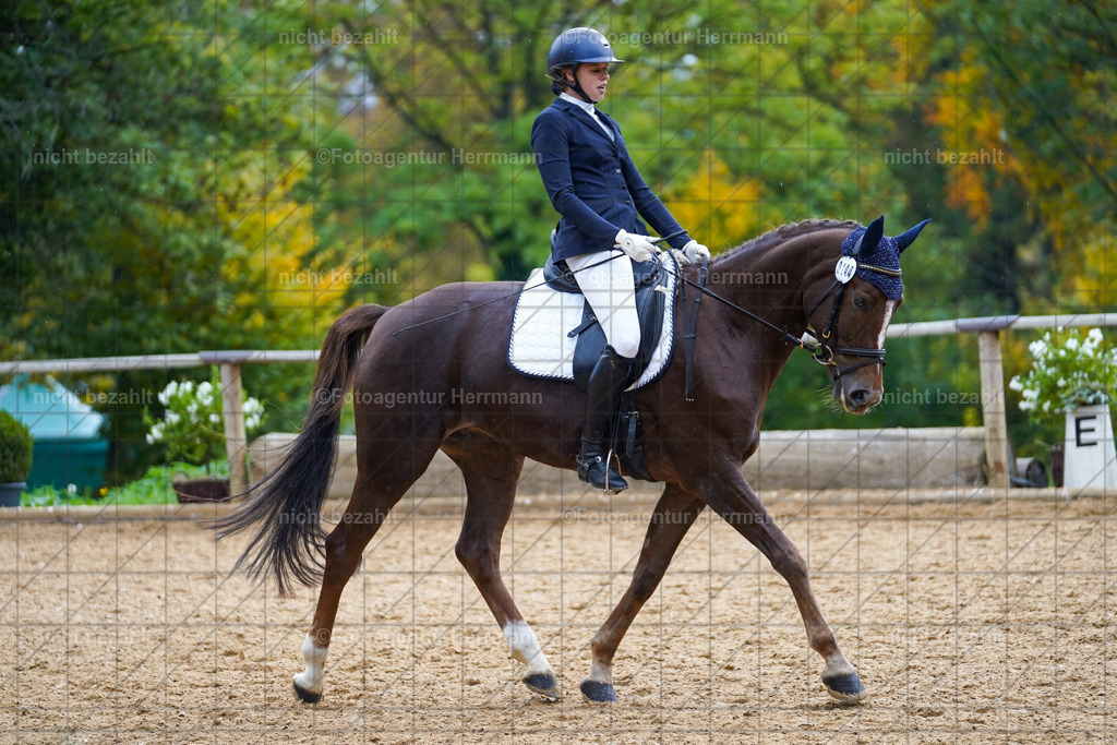 20221008-FAH01978 | Diessen am Ammersee, 2022, Dressur- und Springturnier, Reitsportbilder, Turnierfotografen Bayern, Pferdefotografen, Fotoagentur Herrmann, Turnierbilder