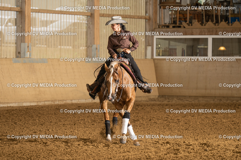 LAU00670 | dv-media-shop - Realisiert mit Pictrs.com