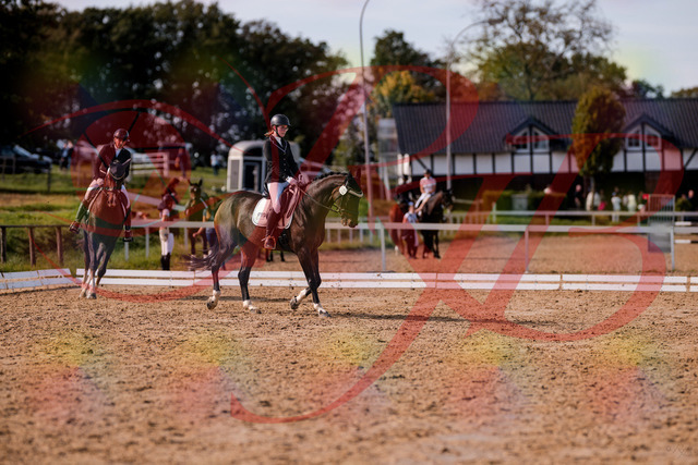 2026_10_03_Siefer-Hof_132511_Z81_74489589 | Professionelle Reitsport-, Turnier- und Eventfotografie von Robert Broda. Galerien mit ausgewählten und bearbeiteten Bildern direkt online ansehen und bestellen.