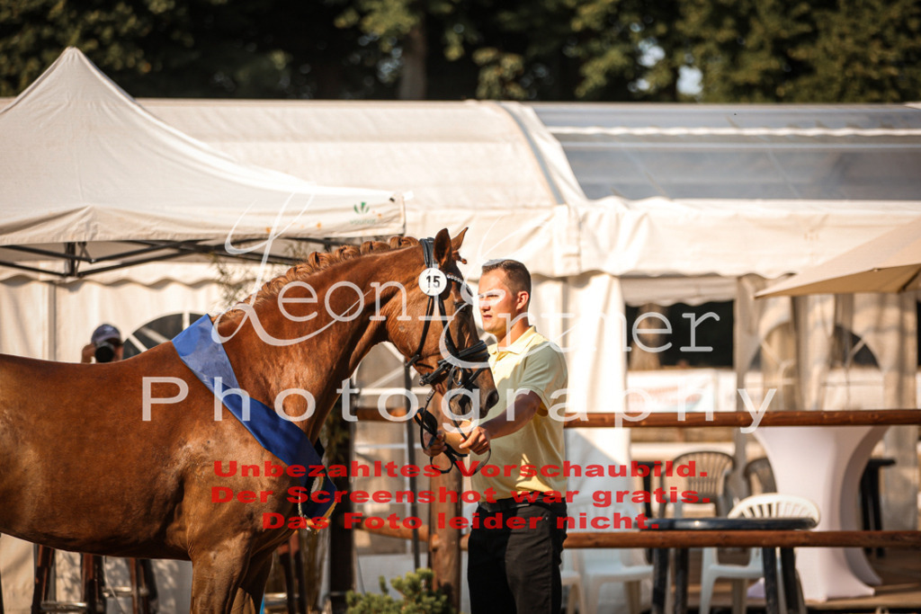 DoER00085 | Leoni Ertmer Photography - Realisiert mit Pictrs.com