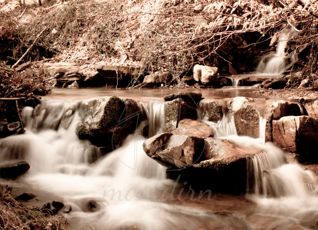 Hundsgraben | Bei Veröffentlichung des Bildes ist eine Namensnennung wie folgt erforderlich: 
Foto: Mostdirn Irmgard Wieser - Realisiert mit Pictrs.com