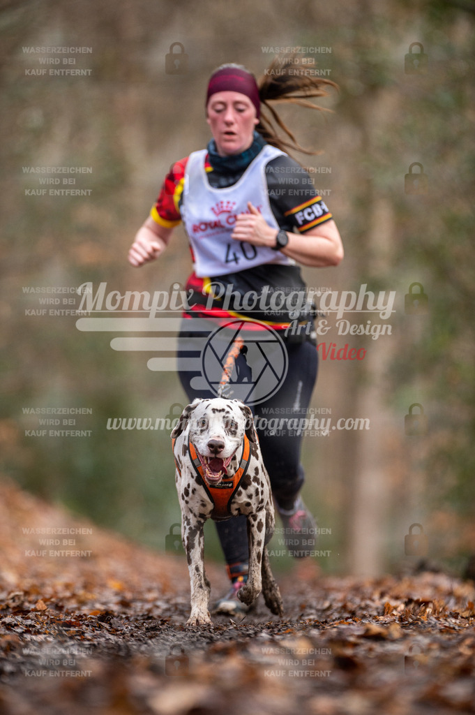 SPA_2023_DIM_CCL-150 | PayLife