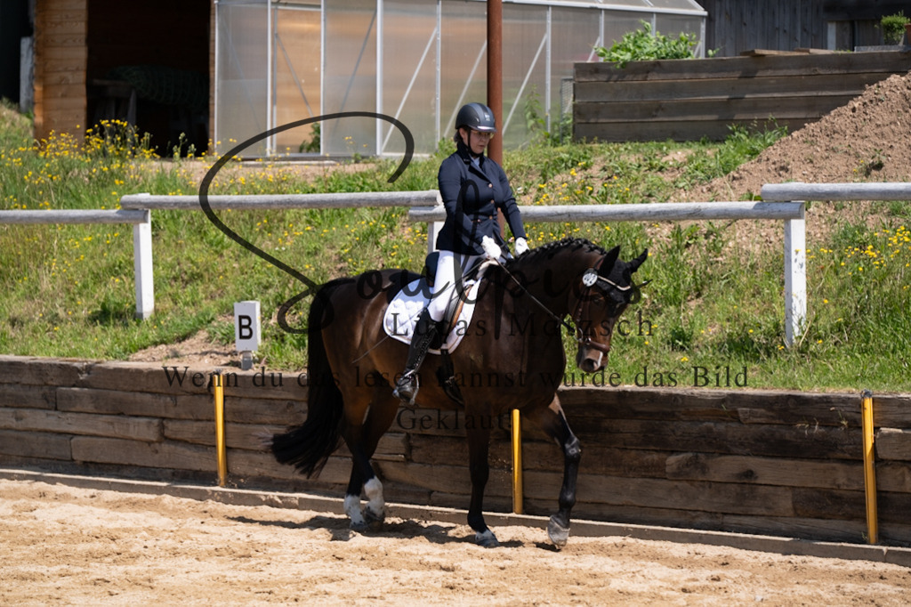 A7V08034 | Pferdefotograf