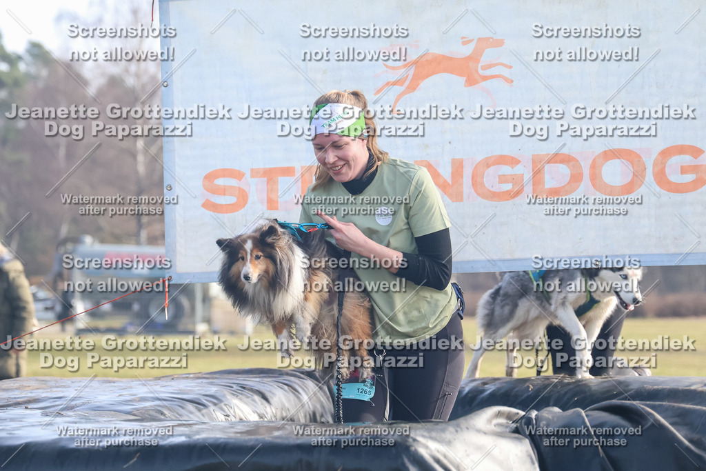 Dog Paparazzi - Strongdog North Mrz26-465 | Dog Paparazzi Jeanette Grottendiek Fotografie & Videografie - Realisiert mit Pictrs.com