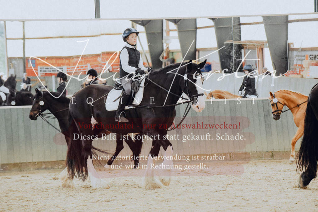 DSC_7241 | Pferde- und Turnierfotografie in Westsachsen. Pferdeportraits, Auftragszeichnungen und intuitive Kunst.