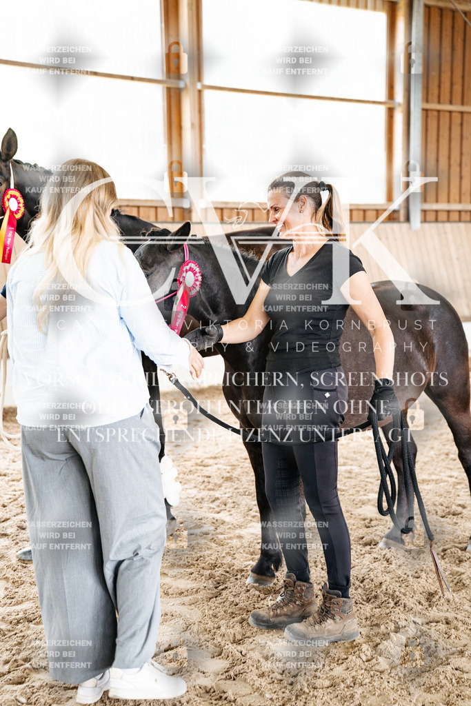 CK703276 | Turnierfotografie Pferdefotografie Trier Rheinland-Pfalz Pferdesport Reitsport Tierfotografie Sportfotografie Pferdevideo Pferdevideografie Equestrianvideography equestrianphotography  - Realisiert mit Pictrs.com