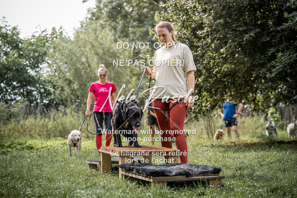 nelerasche_SoLauf_240 | nelerasche