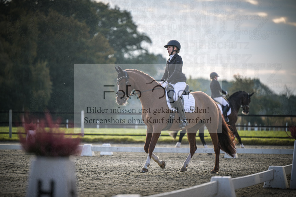 DOS_3618 | Entdecke hochwertige Reitturnierfotos von Foto Oger. Professionell, emotional und authentisch – jetzt Lieblingsmomente im Shop bestellen.Deutschlandweite Turnierfotografie. - Realisiert mit Pictrs.com