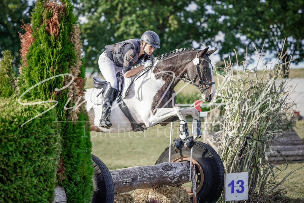 20250906-_3LI7626 | Tierfotografie Pferde, Hunde, Katzen, Haustiere.
Turnierfotografie Reitturniere, Reiten, Springreiten, Dressur in Hanau, dem Main-Kinzig-Kreis und dem Rhein-Main- Gebiet um Frankfurt