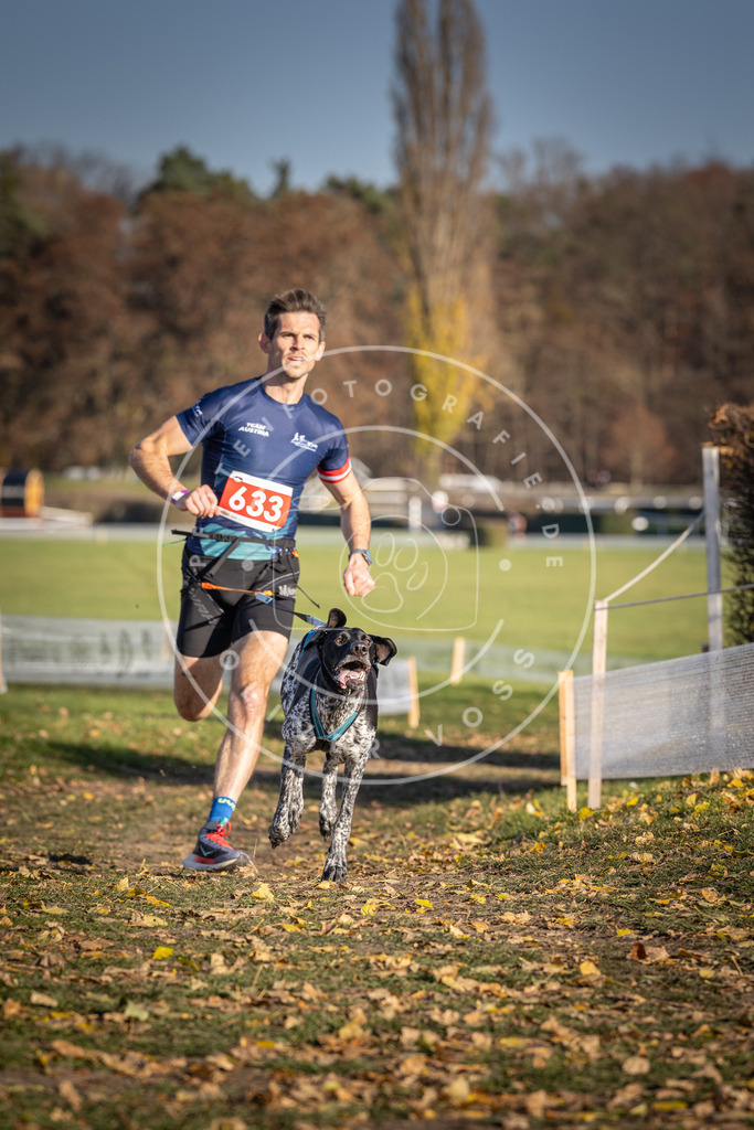 CaniXpix_DV3A0167 | Hundefotografie, Tierfotograf, Pfotenfotografie, Fotoshooting Hund, Hunde Portrait, Hundesport, Hundeportraits, Heideshooting, Hunde, Sportfotograf, Hundefotograf, Turnierhundsport, THS,  - Realisiert mit Pictrs.com