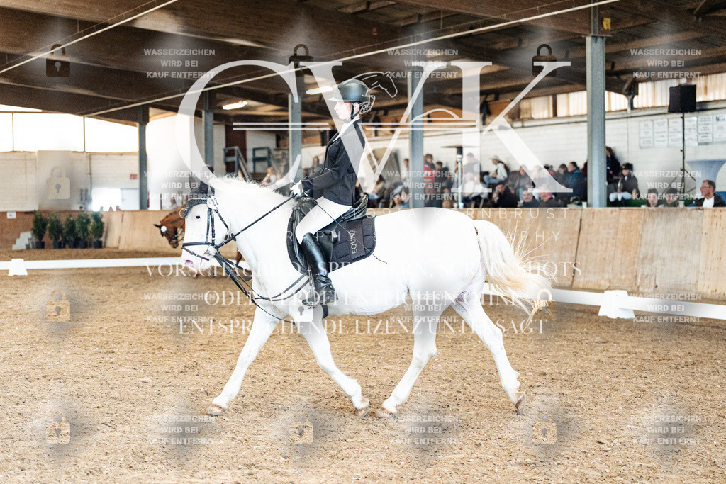 CK900263 | Turnierfotografie Pferdefotografie Trier Rheinland-Pfalz Pferdesport Reitsport Tierfotografie Sportfotografie Pferdevideo Pferdevideografie Equestrianvideography equestrianphotography  - Realisiert mit Pictrs.com