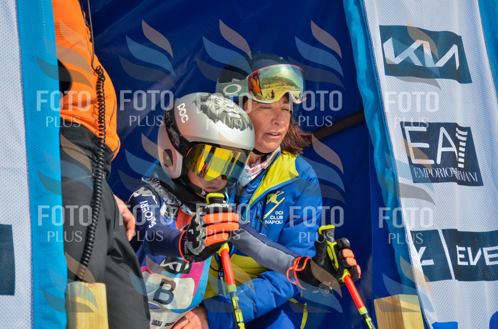 _ELE4298 | holidayphoto