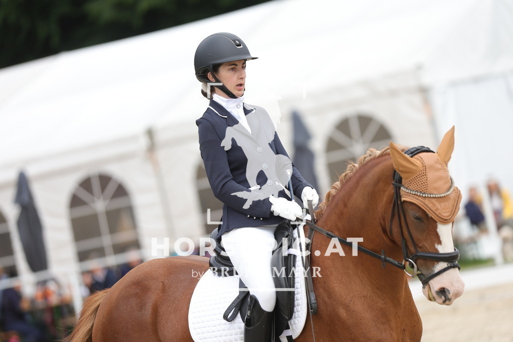 0P6A5116 | Willkommen bei Brunnmayr - Design & Fotografie – Ihrem Spezialisten für Reitturniere und Pferdeveranstaltungen in Oberösterreich, Salzburg und Bayern! Seit über 17 Jahren sind wir leidenschaftlich dabei.