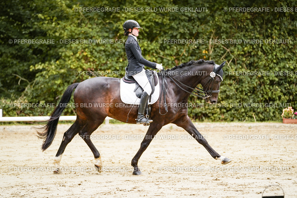 DSC03909 | Pferdegrafie