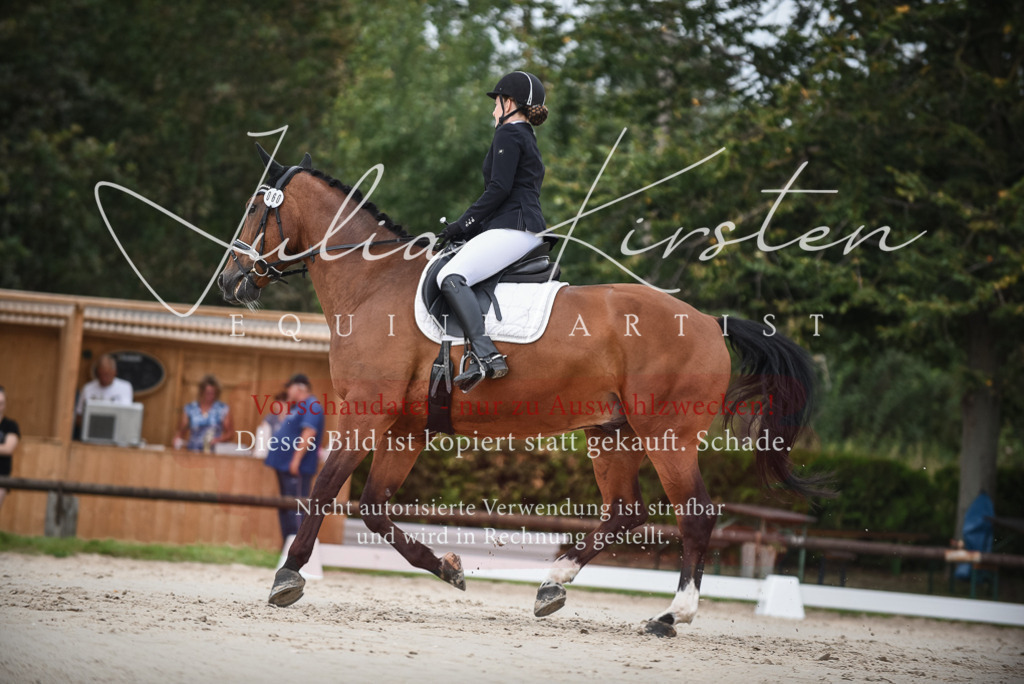 DSC_8081 | Pferde- und Turnierfotografie in Westsachsen. Pferdeportraits, Auftragszeichnungen und intuitive Kunst.