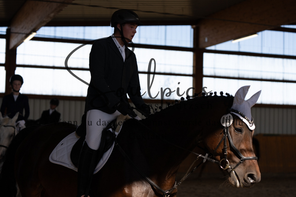 A7V02172 | Pferdefotograf