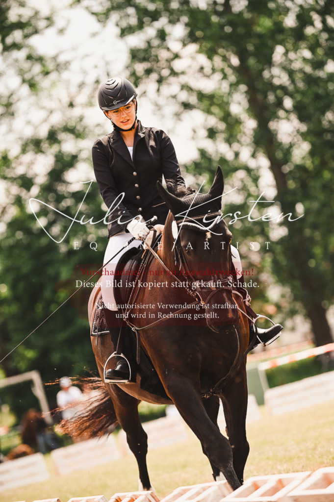DSC_6178 | Pferde- und Turnierfotografie in Westsachsen. Pferdeportraits, Auftragszeichnungen und intuitive Kunst.