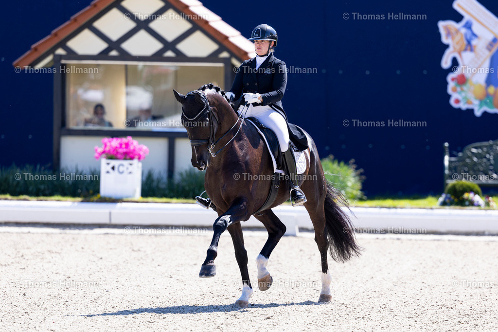 TH_560-Global Power OLD_ Eger_ Evelyn_28349 | Horses &amp; Dreams 2025 am 27.04.25 in Hagen a.T.W., Thomas Hellmann, 560Global Power OLD, Eger, Evelyn
