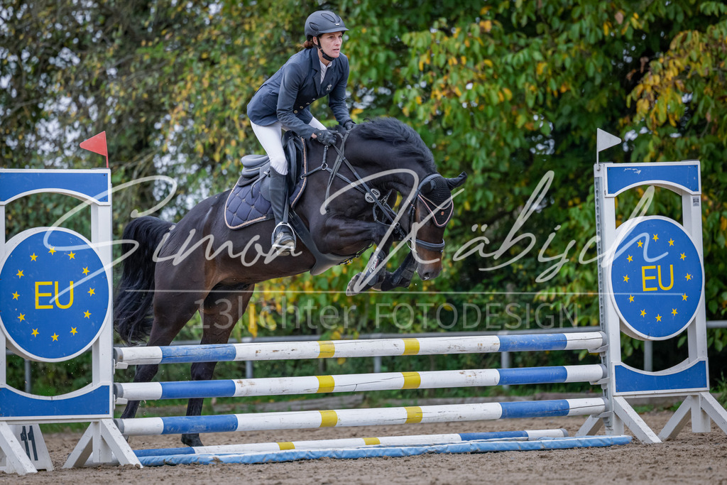 20251012-_3LI3789 | Tierfotografie Pferde, Hunde, Katzen, Haustiere.
Turnierfotografie Reitturniere, Reiten, Springreiten, Dressur in Hanau, dem Main-Kinzig-Kreis und dem Rhein-Main- Gebiet um Frankfurt