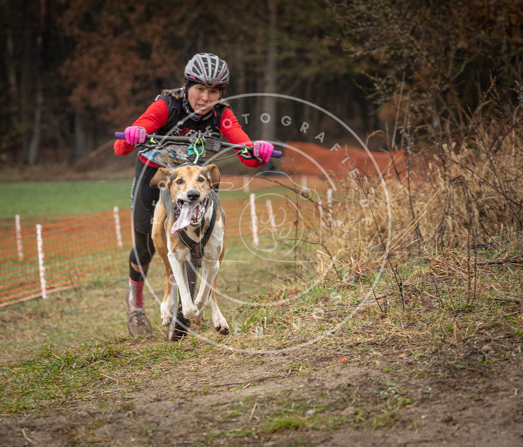 0L8A9041 | Hundefotografie, Tierfotograf, Pfotenfotografie, Fotoshooting Hund, Hunde Portrait, Hundesport, Hundeportraits, Heideshooting, Hunde, Sportfotograf, Hundefotograf, Turnierhundsport, THS,  - Realisiert mit Pictrs.com