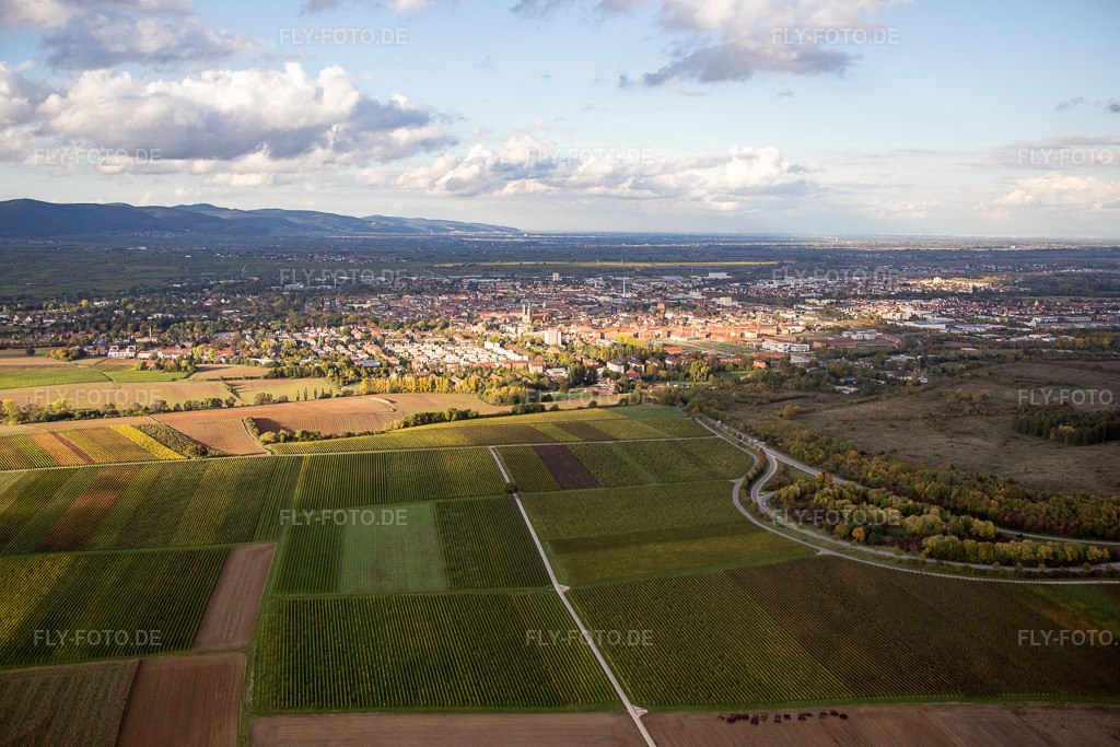 Luftbild: Westlich des Ebenberg in Landau in der Pfalz im Bundesland Rheinland-Pfalz in Deutschland. Foto: IMG_074594.jpg vom 14.10.2014 durch Werner Riehm/FLY-FOTO.de