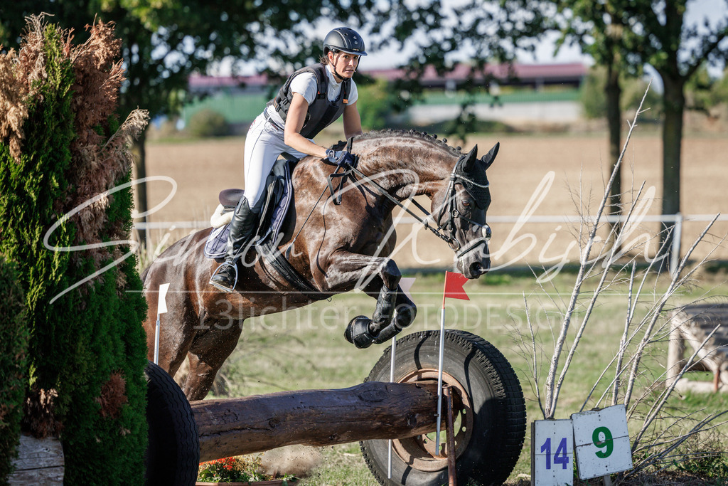 20260905-_3LI0581 | Tierfotografie Pferde, Hunde, Katzen, Haustiere.
Turnierfotografie Reitturniere, Reiten, Springreiten, Dressur in Hanau, dem Main-Kinzig-Kreis und dem Rhein-Main- Gebiet um Frankfurt