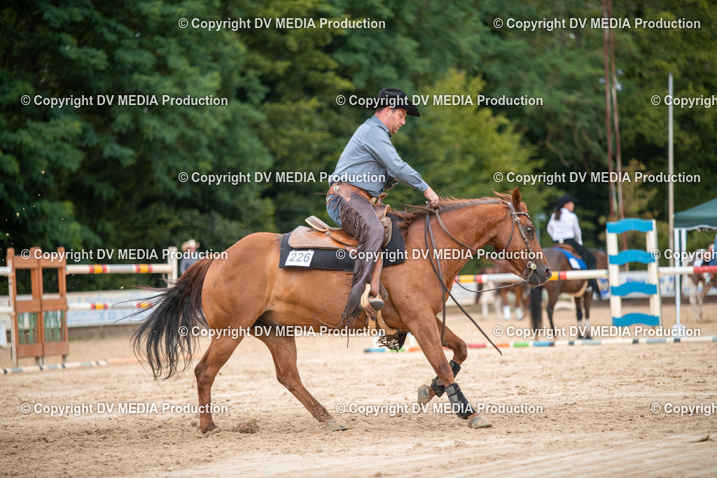 ZS2_8482 | dv-media-shop - Realisiert mit Pictrs.com