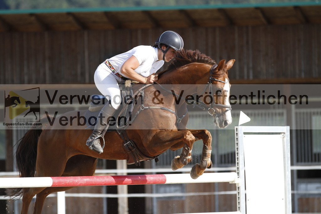 _MG_5534 | equestrian-live-com