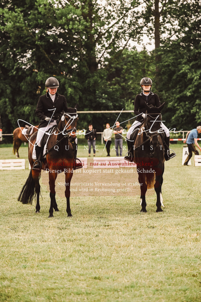 DSC_4943 | Pferde- und Turnierfotografie in Westsachsen. Pferdeportraits, Auftragszeichnungen und intuitive Kunst.